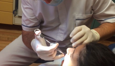 Igazgyöngy rendelés 2019